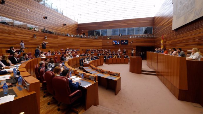 Pleno de las Cortes de Castilla y León