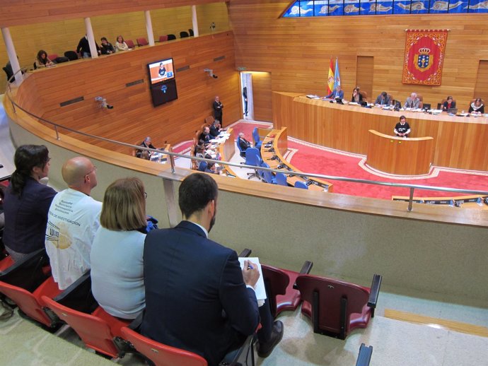 Víctimas de Angrois en el pleno del Parlamento de Galicia 