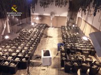 Detenido el dueño de un restaurante con 270 plantas de marihuana en el almacén del local