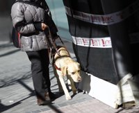 Fundación Adecco generó 948 puestos de trabajo en 2016 para personas en riesgo de exclusión en Baleares