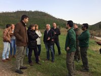 La Junta invierte la mitad del presupuesto del Infoca en tareas de prevención