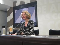 IU insta al Gobierno de Aragón a "mover ficha" porque la situación es "insostenible"