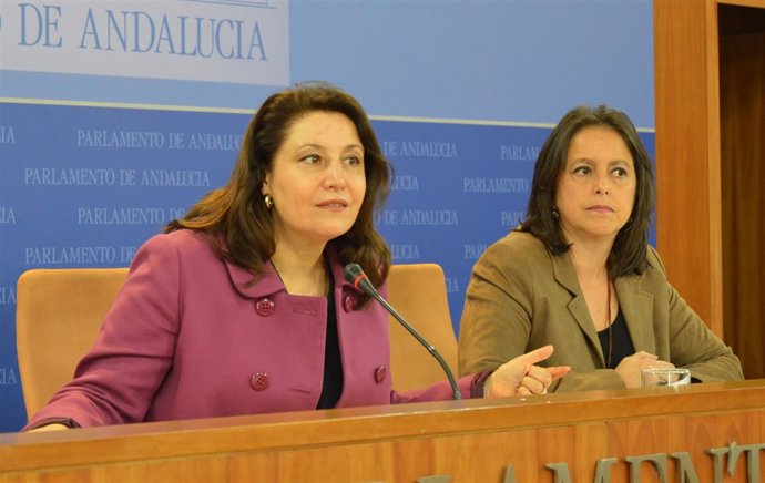 Nota, Foto Y Audio Carmen Crespo Proyecto De Ley De Sostenibilidad Del Sistema S