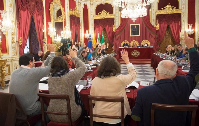 Pleno de la Diputación Provincial de Cádiz