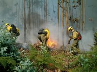 La Rioja registra un nuevo descenso del número de incendios durante 2016