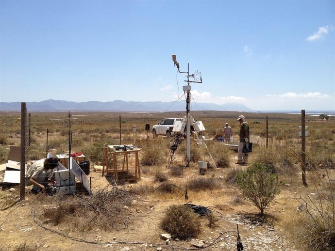 Estudio en zonas áridas