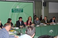 Junta pide al Gobierno que no derive a Andalucía la multa de 63 millones que le impone UE por la admisibilidad de pastos