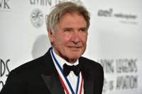 Vídeo del último incidente aéreo de Harrison Ford