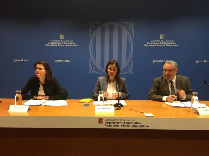M.Serret explica un cas de grip aviària a Catalunya