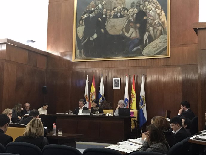 Pleno del Ayuntamiento de Santander, febrero 2017