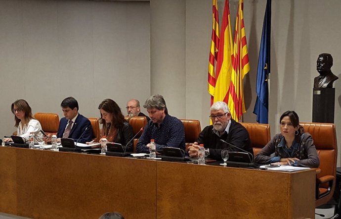 El ple de la Diputació de Barcelona durant la lectura de la declaració