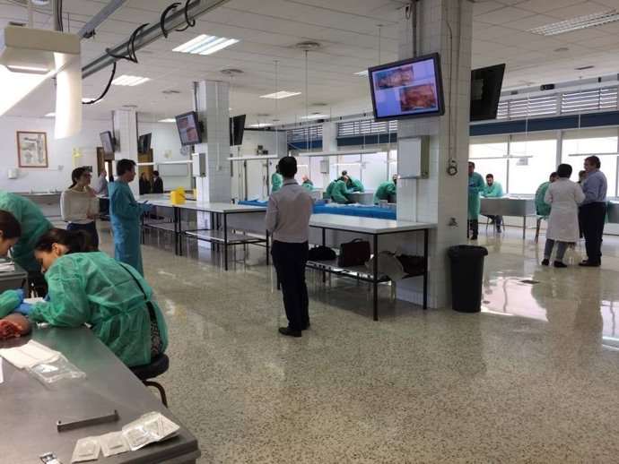 Expertos De Toda Andalucía Abordan En Málaga Los Últimos Avances En Cirugía De L