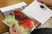 Presentan un libro que ensalza las antiguas variedades de viña de Baleares