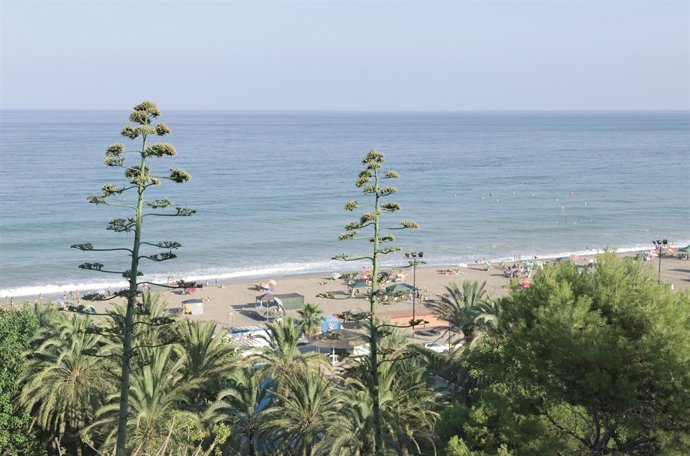 Playa del Ejido en la Costa del Sol, turismo