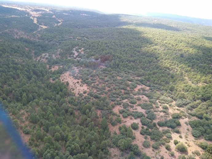 Masa arbolada, árboles, monte, pinos