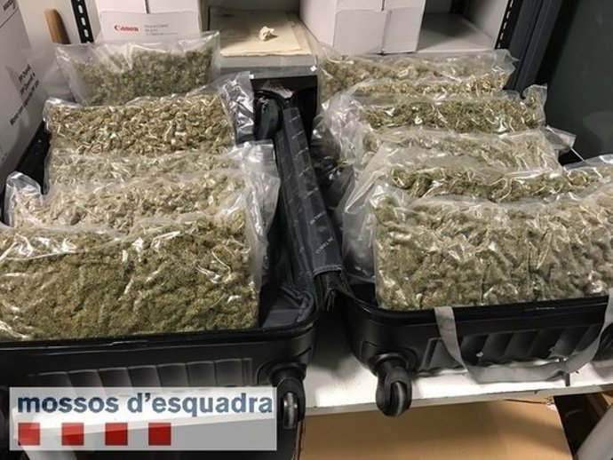 Agencia Catalana de Noticias