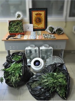 La Policía Nacional Se Incauta De Más De 90 Plantas De Marihuana Desmantelando U