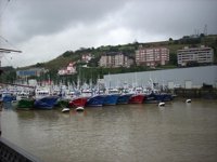 El sector pesquero vasco invierte 750.000 euros para conservar los recursos biológicos marinos