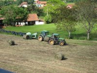 PSOE dice que la Junta "está cumpliendo" con los agricultores y ganaderos