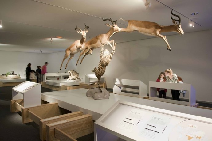 Parque de las Ciencias de Granada