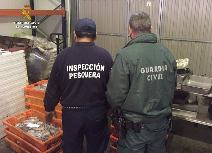 Pulpo no reglamentario intervenido en Lepe (Huelva). 