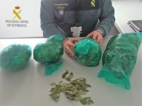 Intervenidos 1,6 kilos de hoja de coca en el aeropuerto de Almería a una pasajera