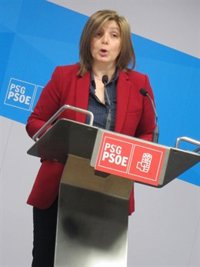 La gestora del PSdeG será neutral en las primarias del PSOE y apuesta por adelantar el calendario gallego