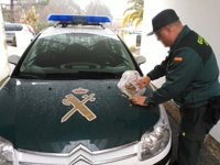 Detenidos cuatro jóvenes de Vigo por robar la recaudación de una tragaperras