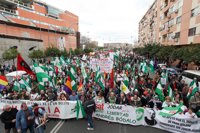 Guerra de cifras sobre la participación en la 'Marcha de la Dignidad' por el 28F en Sevilla