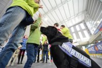 Caja Rural organiza un taller asistido con perros para concienciar sobre el acoso escolar en Gijón