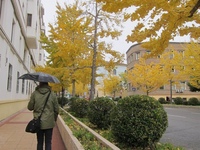 Lluvia en Zaragoza, otoño, paraguas, peatón, pasear