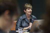 Gobierno vasco dispuesto a incrementar la inversión en el TAV si acuerda nuevas actuaciones