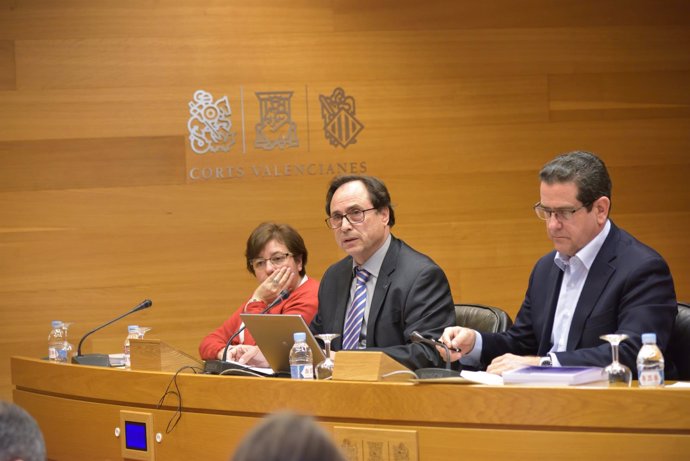 Soler en la Comisión de Economía, Presupuestos y Hacienda