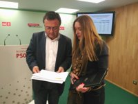 El PSOE advierte del aumento de delitos en Málaga y exige un aumento de efectivos policiales