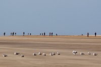 Abierta la inscripción para la octava edición del Desafío Doñana del próximo 30 de septiembre