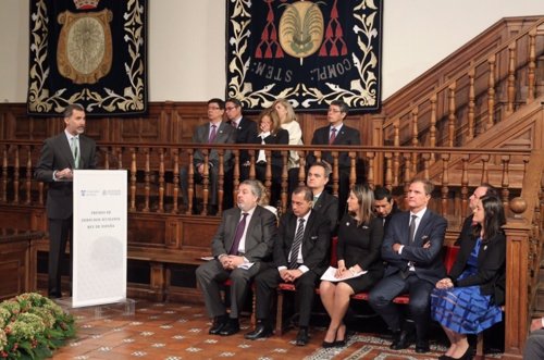 VII edición del Premio de Derechos Humanos Rey de España