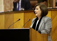 Andalucía reclama al Gobierno un proyecto de ley contra la desigualdad salarial