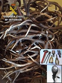 Dos detenidos y tres investigados por robos en explotaciones agrarias y ganaderas en Cáceres y Toledo