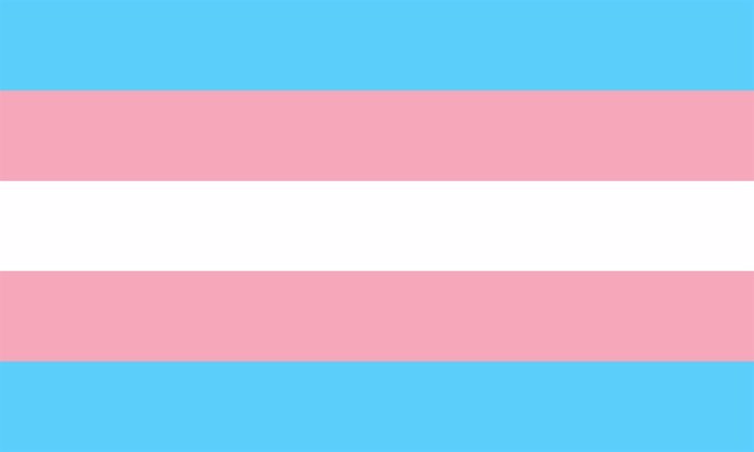 Bandera Transexual