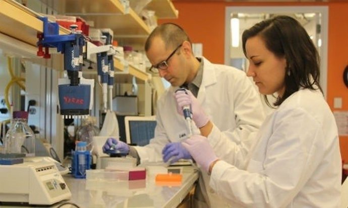 Un anueva estrategia de codificación para maximizar el archivo en ADN