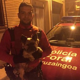 La Policía Foral encuentra un perro robado en Funes