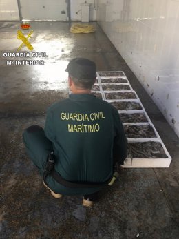 Los pulpos fueron hallados en la bodega de una embarcación