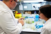 El PSOE lleva a debate el miércoles en el Congreso el modelo de contratación de científicos predoctorales