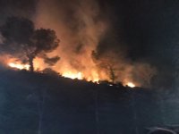 Un petardo provocó anoche un pequeño incendio forestal cerca de Cullera