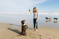 Una startup valenciana lanza un geolocalizador de mascotas que adiestra con ultrasonidos