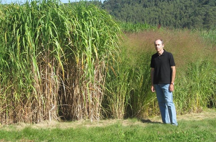 José Albetro Oliveira, investigador de la Universidad de Oviedo