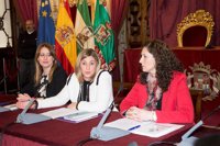 Diputación constituye el Consejo Provincial de Igualdad con 46 asociaciones integradas