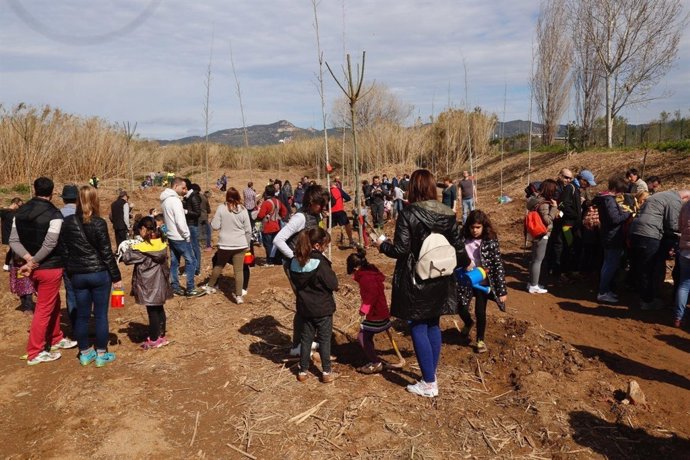 Plantan 175 nuevos árboles en el 'Bosc dels Infants'