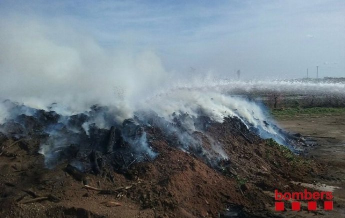 Incendi en restes vegetals a Cambrils (Tarragona), prop de l'AP7