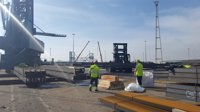 Nueva concentración este miércoles en Algeciras en apoyo a los estibadores